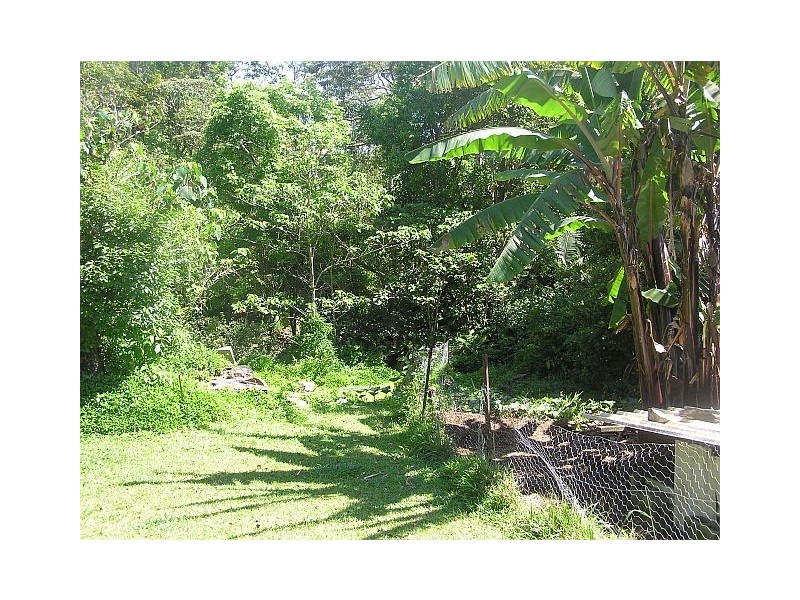30 Pine St, Millaa Millaa QLD 4886