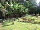 30 Pine St, Millaa Millaa QLD 4886