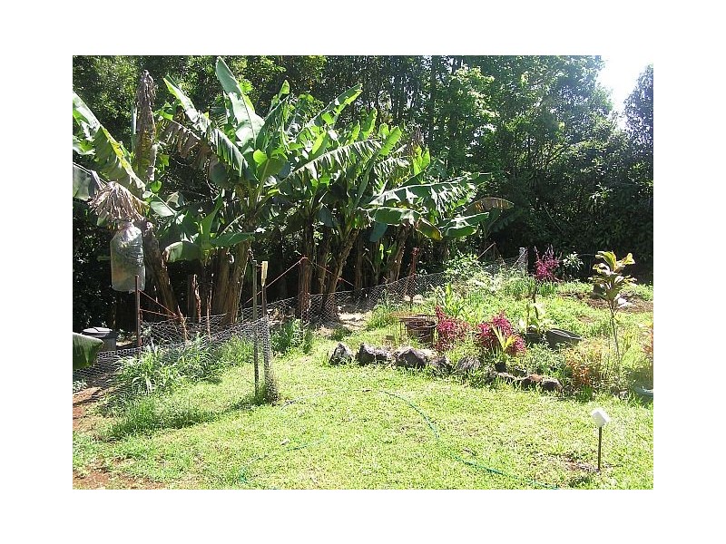 30 Pine St, Millaa Millaa QLD 4886