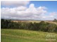 Yungaburra QLD 4884