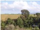 Yungaburra QLD 4884