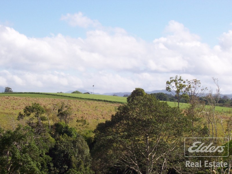 Yungaburra QLD 4884