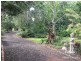 Yungaburra QLD 4884