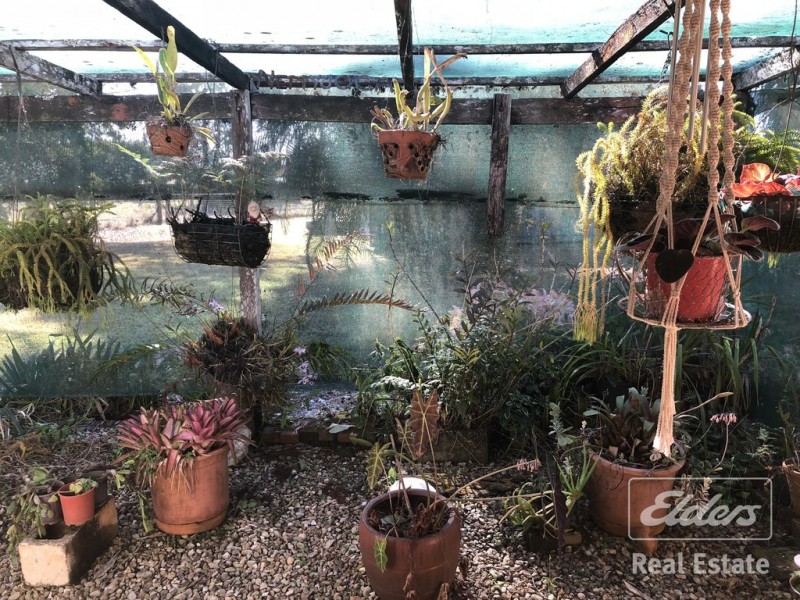 Butchers Creek QLD 4885