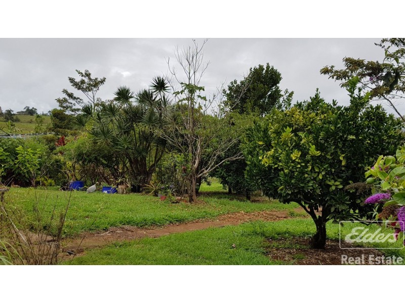 Millaa Millaa QLD 4886