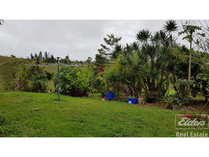 Millaa Millaa QLD 4886