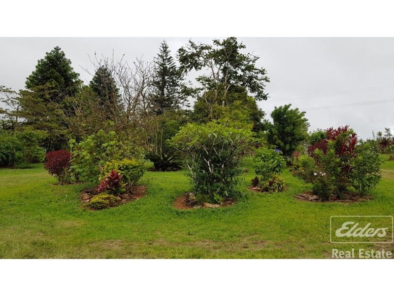 Millaa Millaa QLD 4886