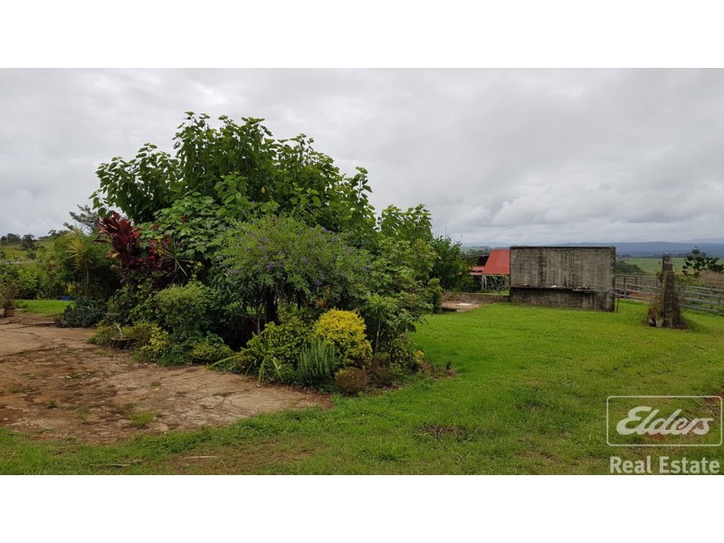 Millaa Millaa QLD 4886