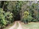 Yungaburra QLD 4884