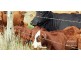 Atherton QLD 4883