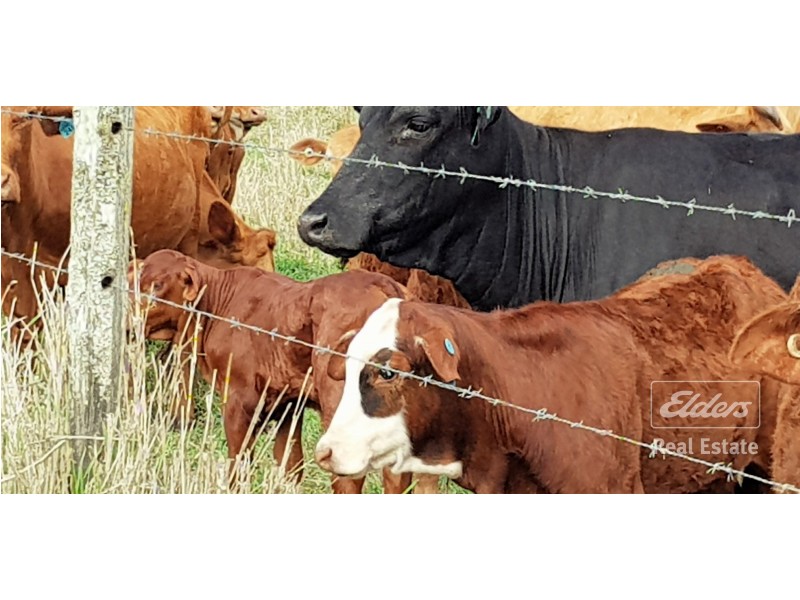 Atherton QLD 4883