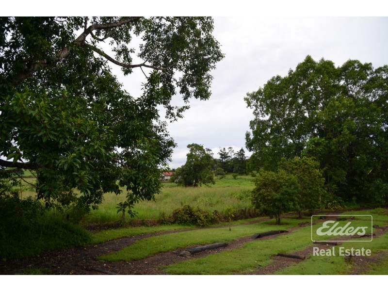 Millaa Millaa QLD 4886