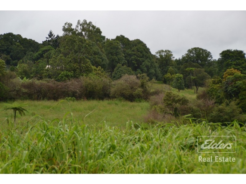 Millaa Millaa QLD 4886