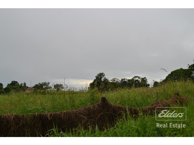 Millaa Millaa QLD 4886