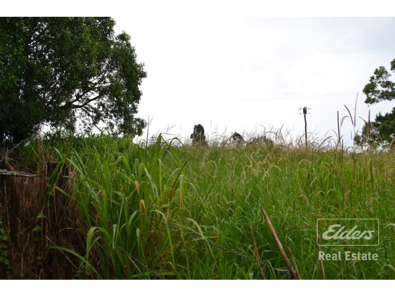 Millaa Millaa QLD 4886