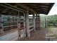 Yungaburra QLD 4884