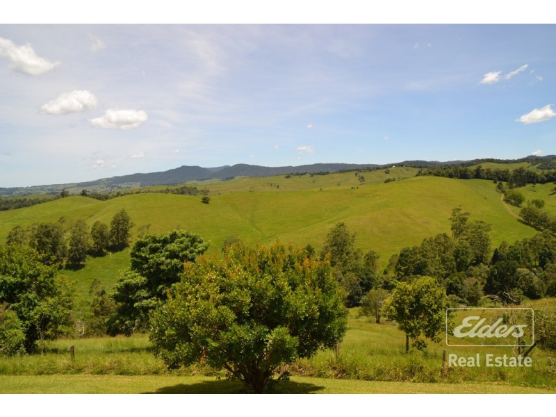 Tarzali QLD 4885