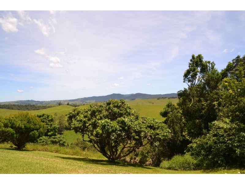 Tarzali QLD 4885