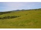 Tarzali QLD 4885