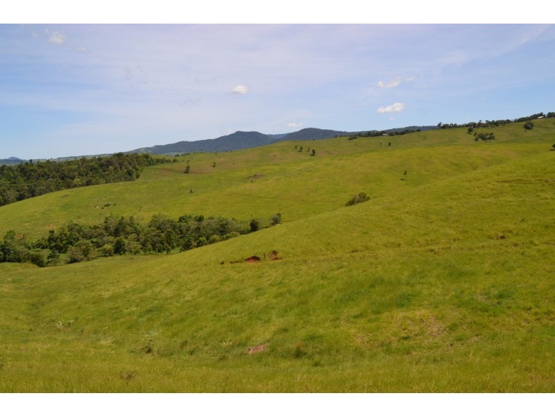 Tarzali QLD 4885