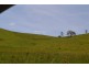 Tarzali QLD 4885