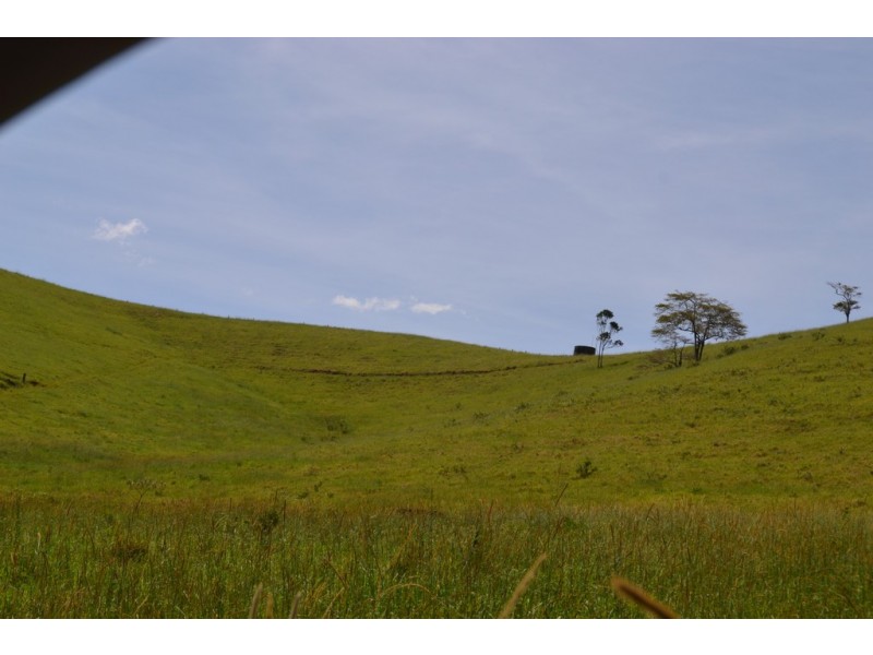 Tarzali QLD 4885