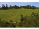 Tarzali QLD 4885