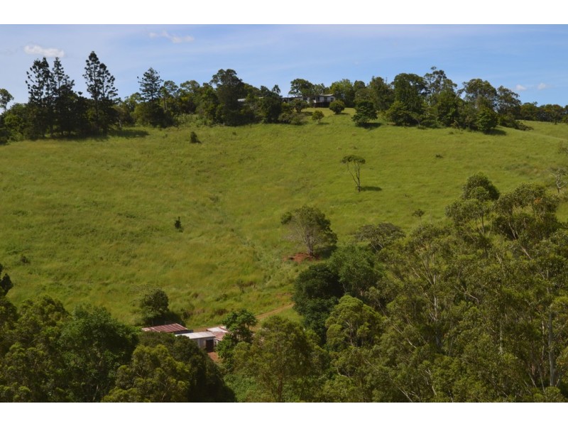 Tarzali QLD 4885
