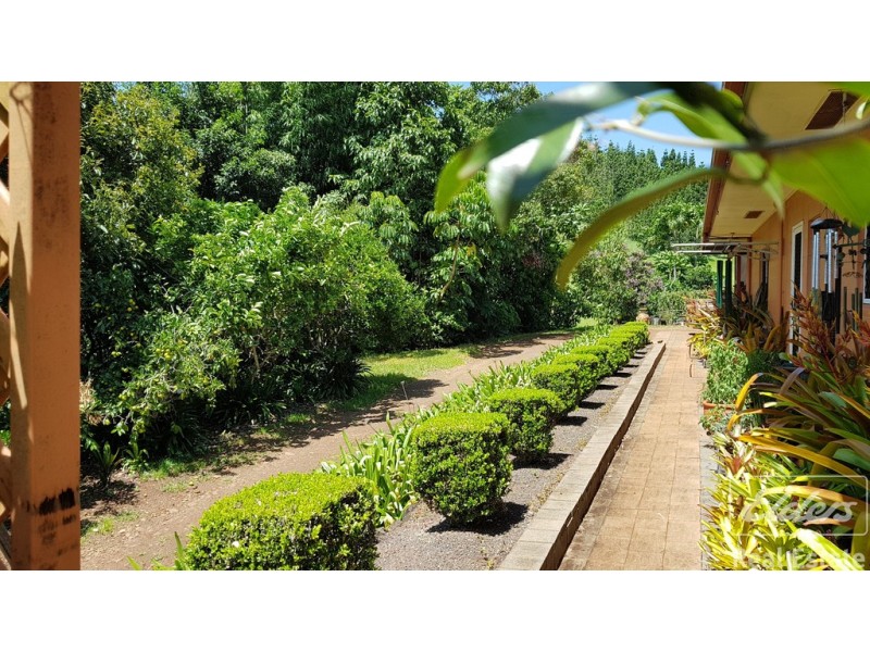 Yungaburra QLD 4884