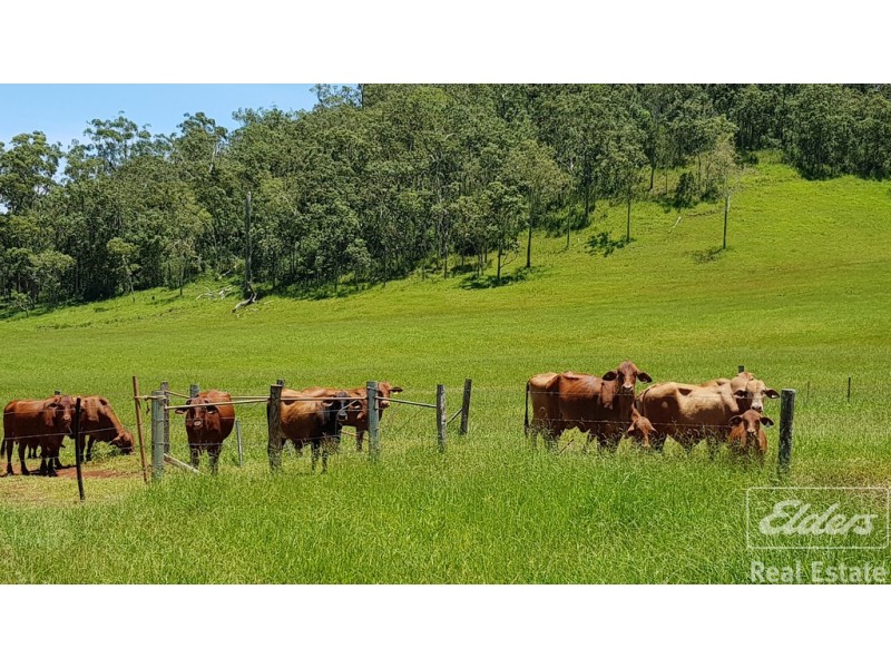 Yungaburra QLD 4884