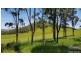 Yungaburra QLD 4884