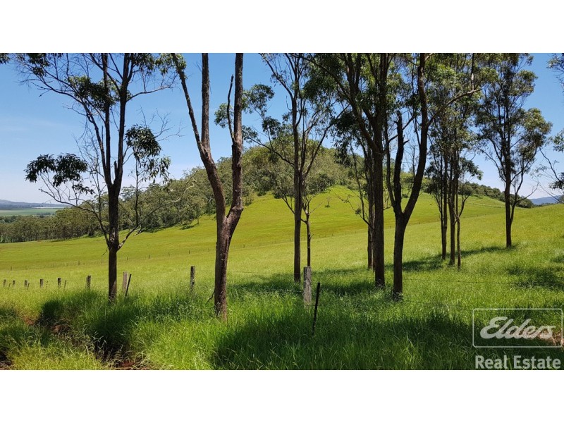 Yungaburra QLD 4884