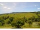 Tarzali QLD 4885