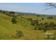 Tarzali QLD 4885