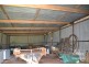 Tarzali QLD 4885