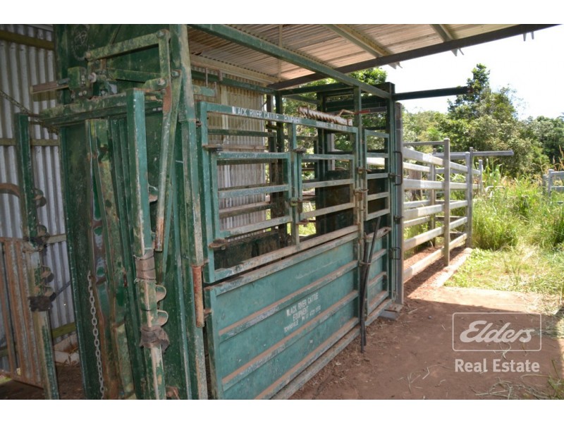 Tarzali QLD 4885