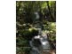 Malanda QLD 4885