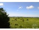 Malanda QLD 4885