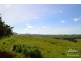 Malanda QLD 4885