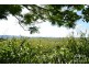 Malanda QLD 4885