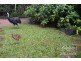 Malanda QLD 4885
