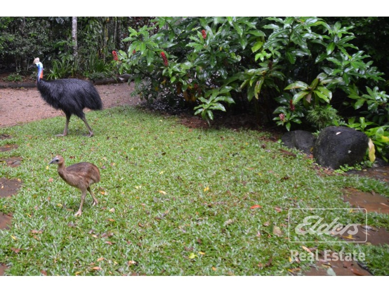 Malanda QLD 4885