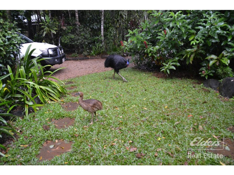 Malanda QLD 4885