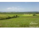 South Johnstone QLD 4859
