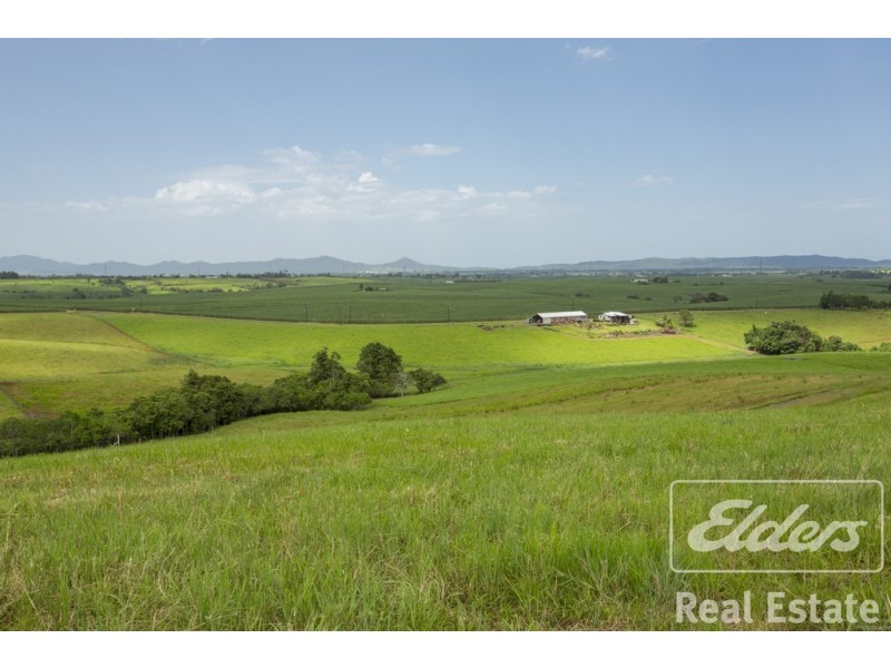 South Johnstone QLD 4859
