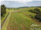 South Johnstone QLD 4859