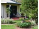 Yungaburra QLD 4884