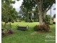Yungaburra QLD 4884