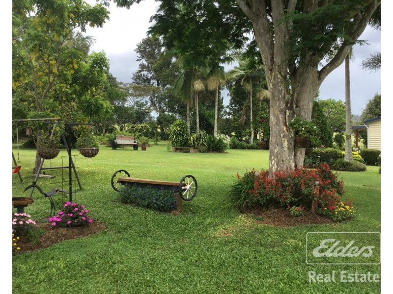 Yungaburra QLD 4884