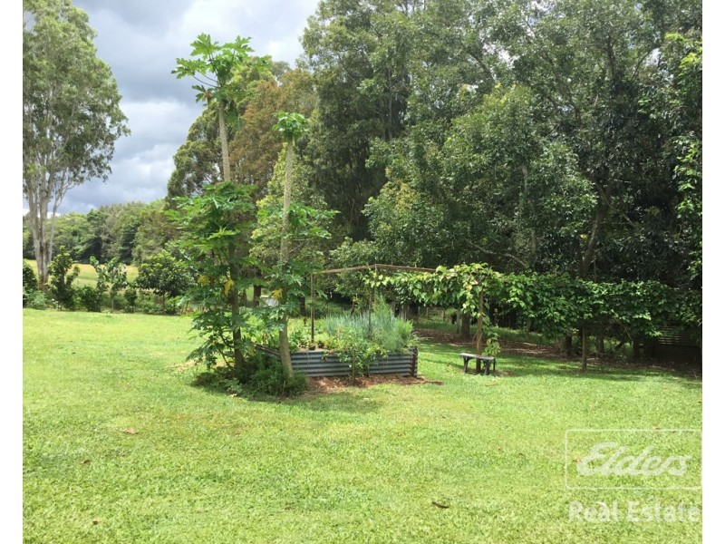 Yungaburra QLD 4884